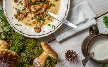 Zupa grzybowa ze świeżych grzybów: sprawdzony przepis