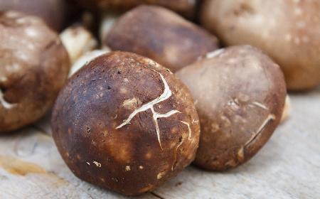 Shitake: grzyby lecznicze